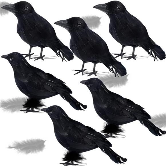 6 Pack Halloween Black Feathered Crows, Halloween Spooky Party Home Decorations - Picture 1 of 6